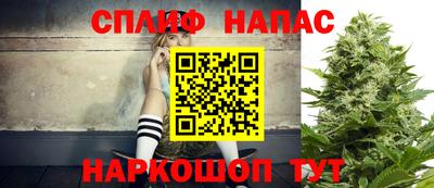 крисы Моздок
