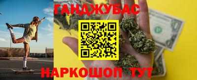 крисы Моздок