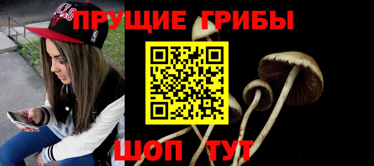 Галлюциногенные грибы мицелий  Вход с VPN  где найти наркотики  Нальчик  Галлюциногенные грибы MAGIC MUSHROOMS 